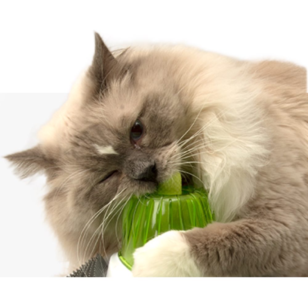 Catit Design Senses 2.0 Wellness Center