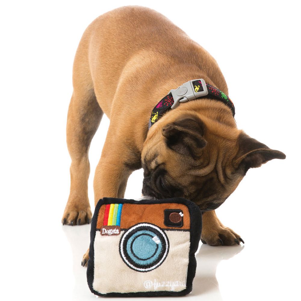 FuzzYard Dogsta Plush Dog Toy (discontinued)