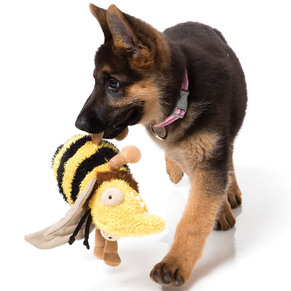 FuzzYard Buzz Plush Dog Toy (discontinued)